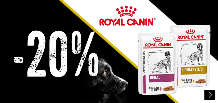 royal canin natvoer dog